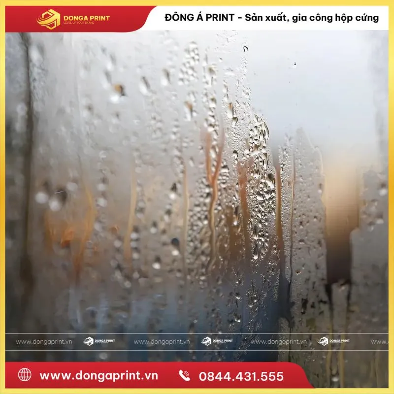 Khám Phá Cách Bảo Quản Hộp Cứng Chuẩn Nhất Hiện Nay 9 Cách bảo quản hộp cứng